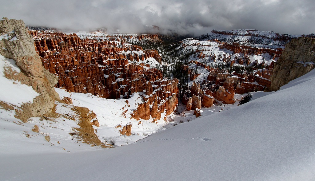 Fresh Powder Snow